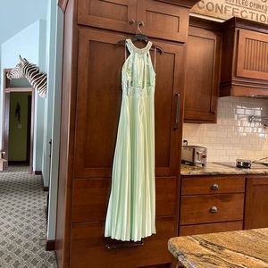 Long Grecian style gown.  Full Pleated skirt in mint color with jewel accents